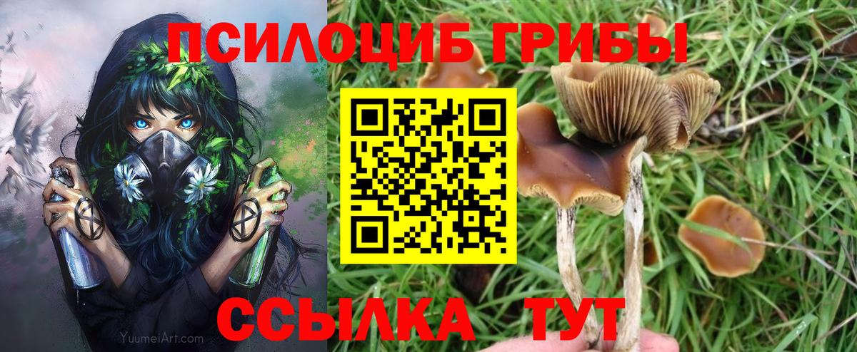 Галлюциногенные грибы ЛСД  Вход с VPN  Рубцовск 